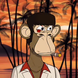 tony montanape