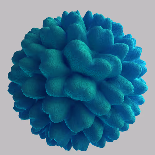 Item #67447968651477411200825140622653011550886032054386379911868636581002462887937 Media