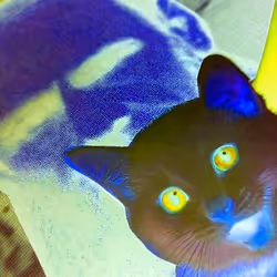 4747115153065902387790593868107453782499677024781155622119190027984823123969