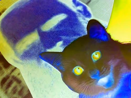 Item #4747115153065902387790593868107453782499677024781155622119190027984823123969 Media