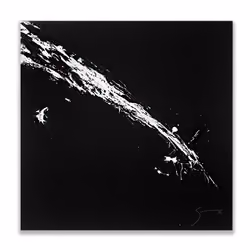 STXBW_17 NFT 2/2