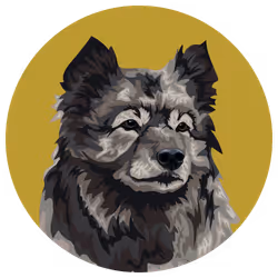 54766349128176429303044182404049584425310907481653304317570413884752844029953