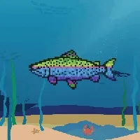 Etherfishing