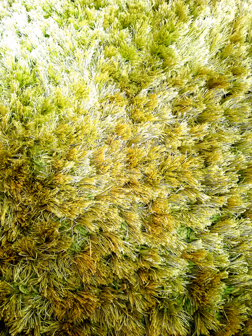 Item #20934789157980051538547438060703325984479248616101493732384175172868672323585 Media