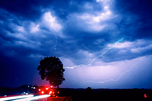 Item #2258627398777165740978674587945485778772101157019303006301276183572449853441 Media