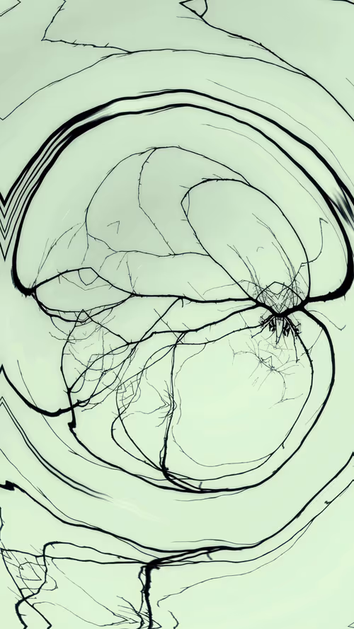 Item #24967146477419090921560663038626653354572651960968859782515528571393333526529 Media