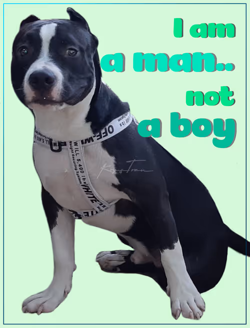 Item #103606411814514267144441239329390381368364317226309774540220525459163469316097 Media