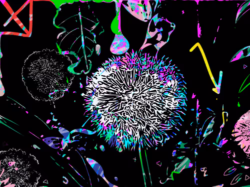 Item #102177492445544886382659035713044492308620582969953474568184538418722568667157 Media