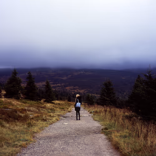 Item #30121090533068634730460792685537461567950127940617948076373458103559658668033 Media