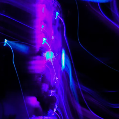 Item #97790434910378556664261528037950509784724770173388744513003037795528111816705 Media