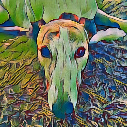 Item #113233535435930126246803406212525192330824104616936385021501681186918874742785 Media