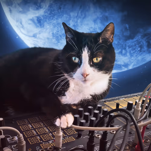 Professor Meowingtons In Space