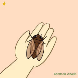 bug #005