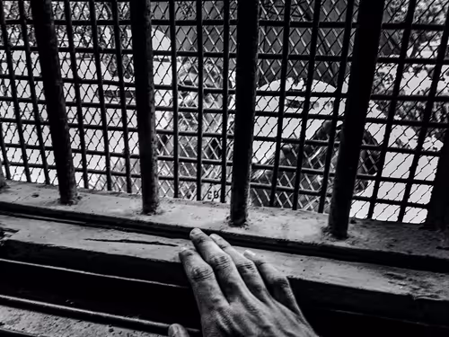 Item #109162157552346088047496633038404394118504199992061596446112929525965338443777 Media