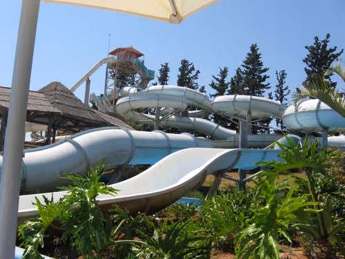 Item #49780404214023394125628081485635193078207366864253774489702248319112007647233 Media