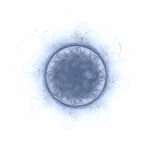 Item #18213777350840045628186174046519911781917879366610239382278114105798051233793 Media