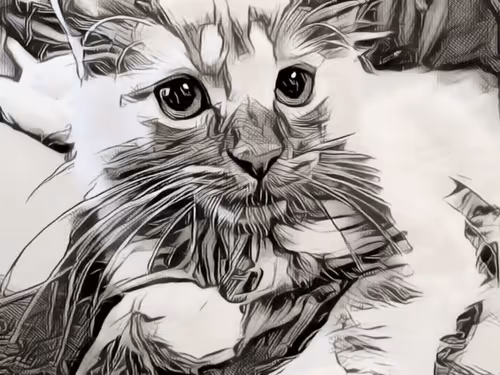 Item #70677597916389332091875359855925065117436584504780574341127713036789069381633 Media