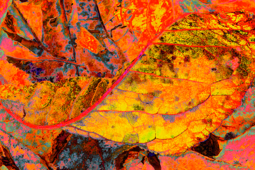 Item #11128123256113201505825332092376579448973501376012613523417643034880530972673 Media