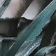 111959947651697492086722085074739668450706274475027751123383059543116226756609