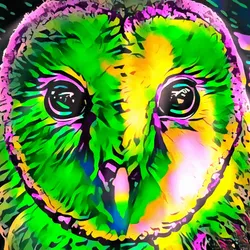 50830097462543580601473563981388698009005024090223633461481090161486344486913