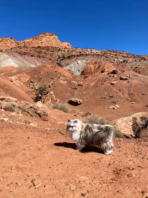 Item #88063557034118437660925886446302507819426649905583175627315428955310839037953 Media