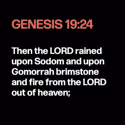 Item #22053356606985035317572807567829034573317121579682343289603633898100998799361 Media