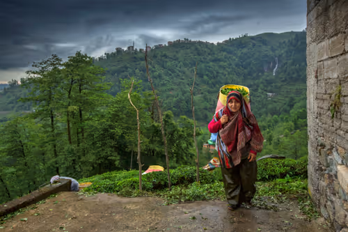 Item #113076858073467689643899346796900450933537958386378511512148870036346439204865 Media