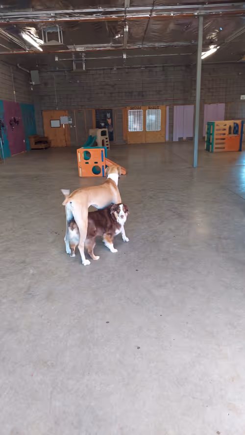 Item #39540864577667399256192616078450246771171412109449139938525305550645378416641 Media