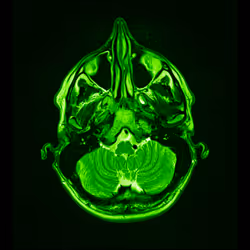 64162533542198579898252916190583583845604629893829087458582975788673459552257