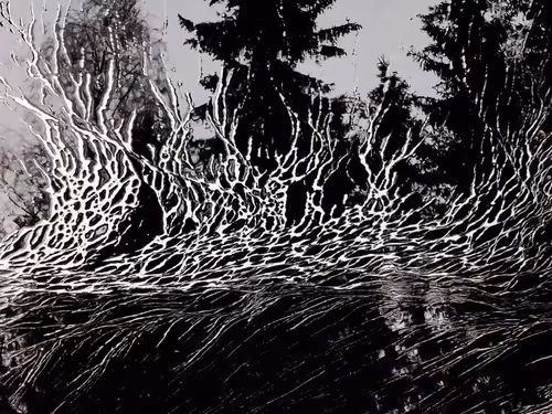 Item #53532806871377414762002313046978113508138147467496899965601038684311714267137 Media