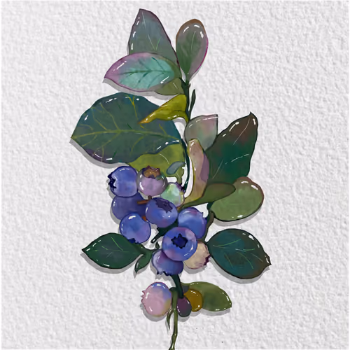 Watercolor berries