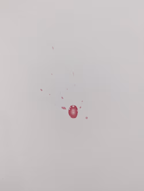 Item #44659341983174900277615426972380684672489201164834520372691987094216739127297 Media