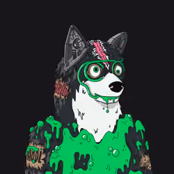 Shiba