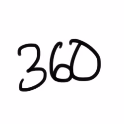 360