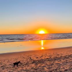 Santa Monica State Beach-Feb 4 2022