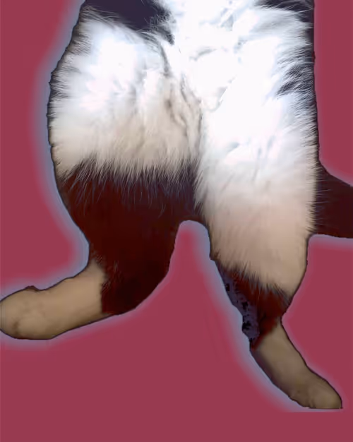 Item #102825742346471317200430870299384798244054491024687449036004975677619321176074 Media