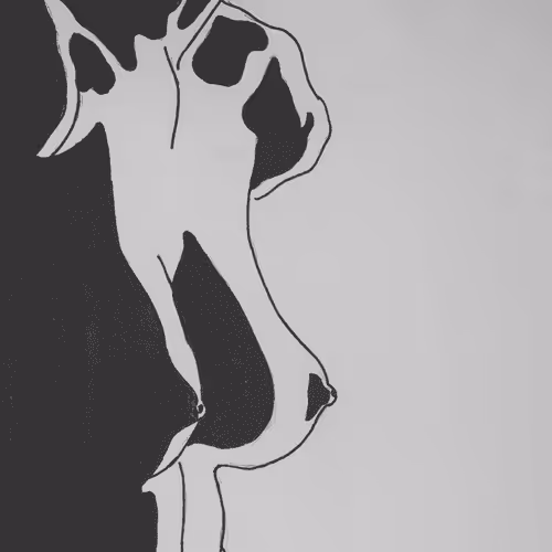 elissa_art Collection