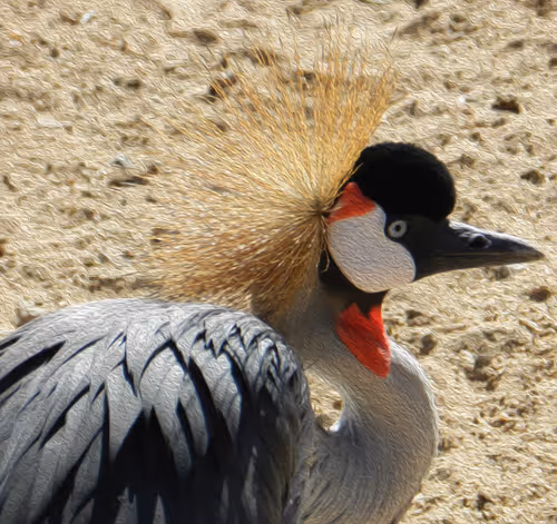 Item #95619151568614802974454947629602672965769746893472874508208249417588029784065 Media