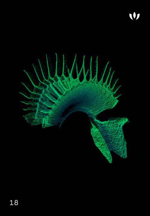 Item #30579750124061878473924884355833297327322833746354964518713563907004183871498 Media