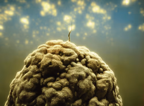 Item #98695163844141812296559601516468632585703412525772017875852753241771182391297 Media