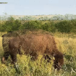 105089968166921690156624725616502706642431777719922472152070405808524198150145