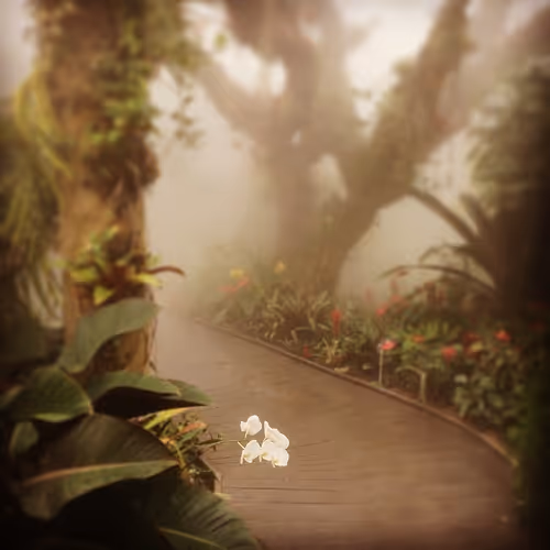 Untitled Collection #456918866 - old