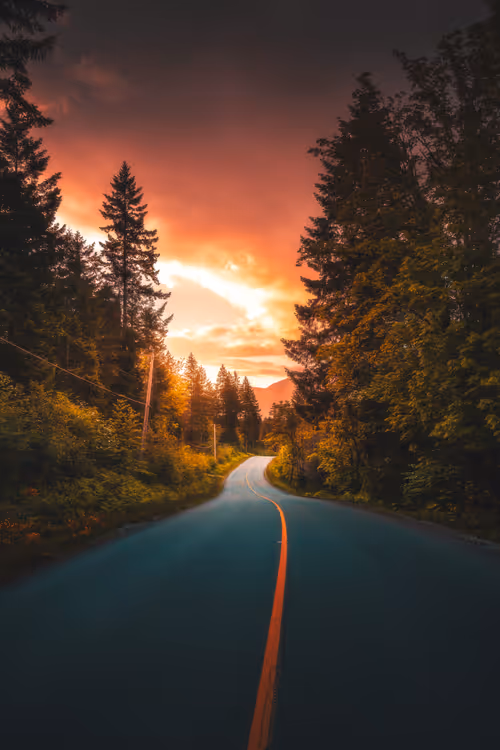 Item #62546128571173573861370652936856218284243546780344801453551937524515014180865 Media