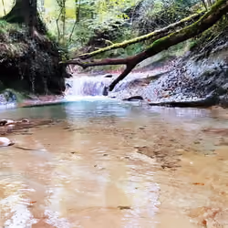 Waterfall #1