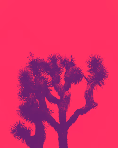 Item #30505376151714534788901893272426756078868651055776643414965977855406100185092 Media