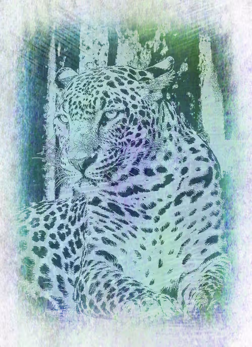 Item #112706814490930413132795555787302569515543672113453404084317514505186839625729 Media