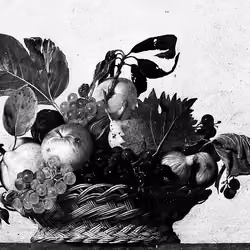 CANESTRO DI FRUTTA 2/5
