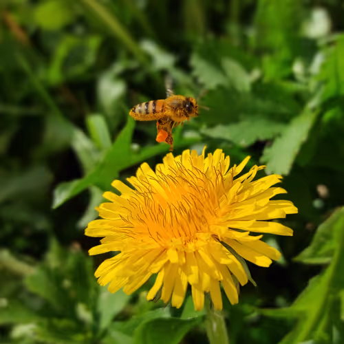 Untitled Collection #61044729