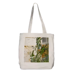 67783958980344062950130156977261207407070005952059443155167400744023522017407