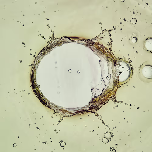 46489901761508154690977052556102681350934379687164571149816291724990840045569